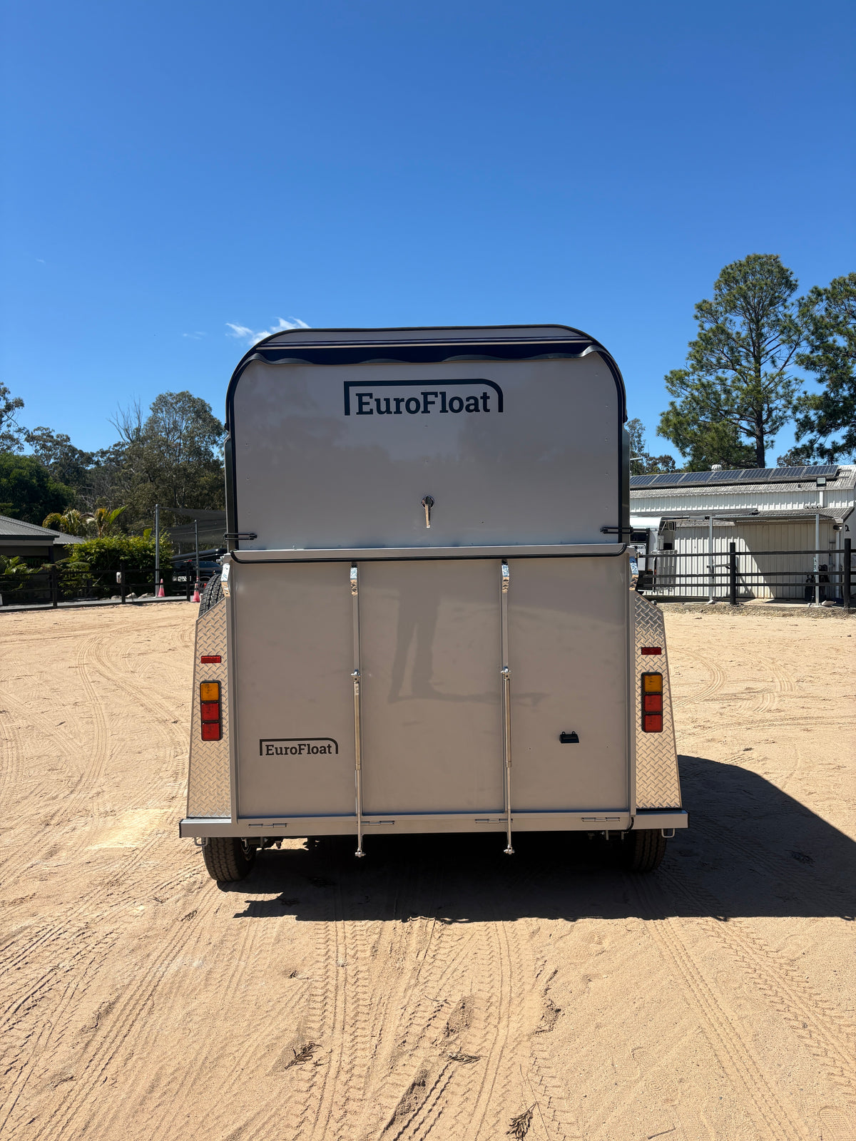 2 Horse Straight Load Float S RN Standard