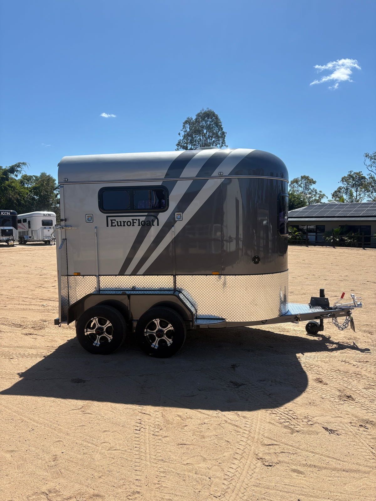 2 Horse Straight Load Float S RN Standard