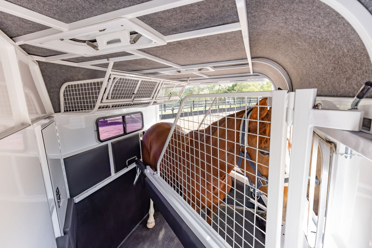 Chestnut horse standing in an angled bay behind a mesh-topped divider, next to an empty bay
