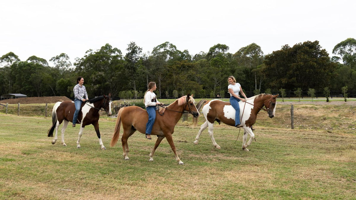 Three riders on paint and chestnut horses in a paddock