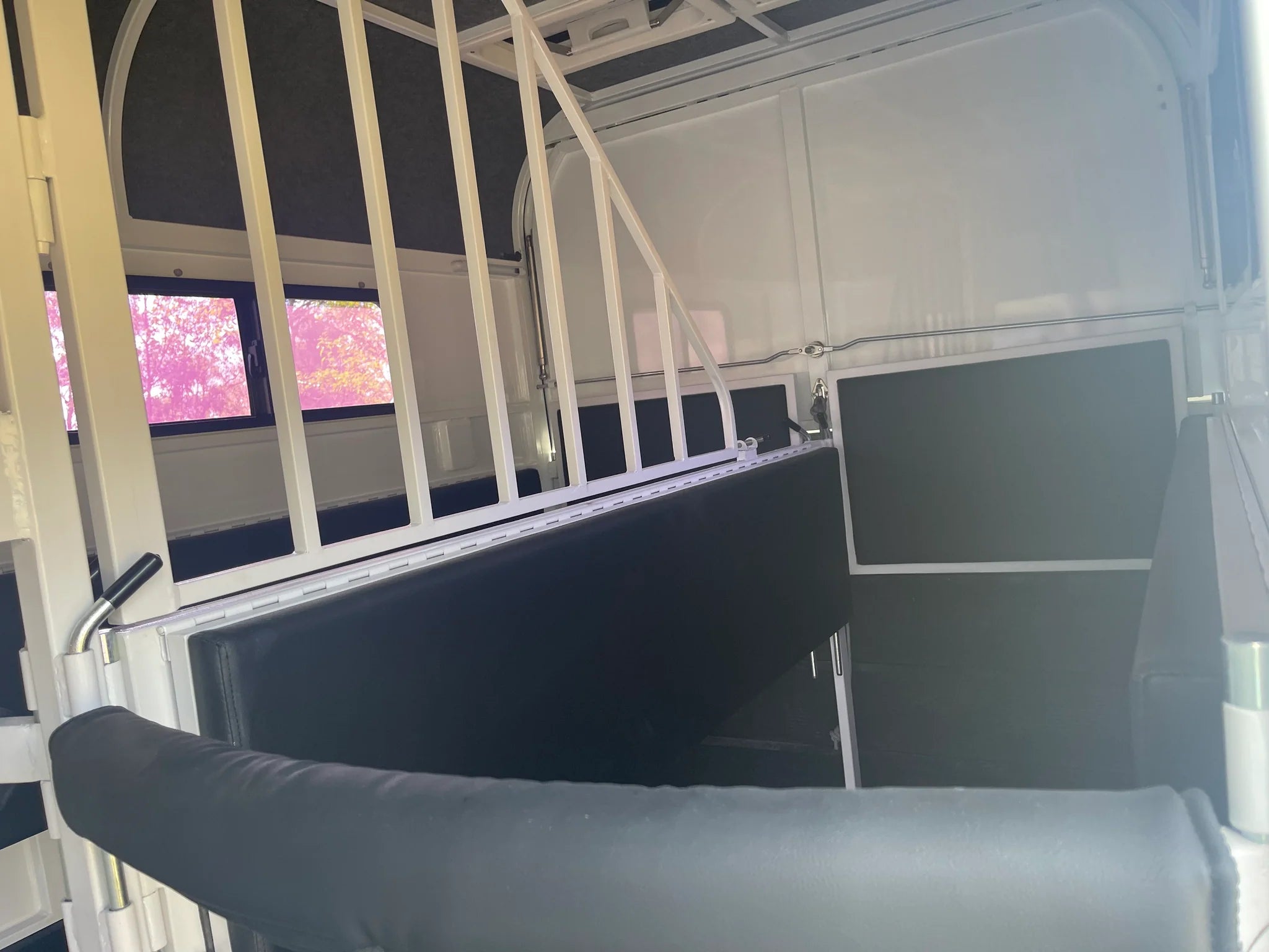 2 Horse Straight Load Float L500 RN