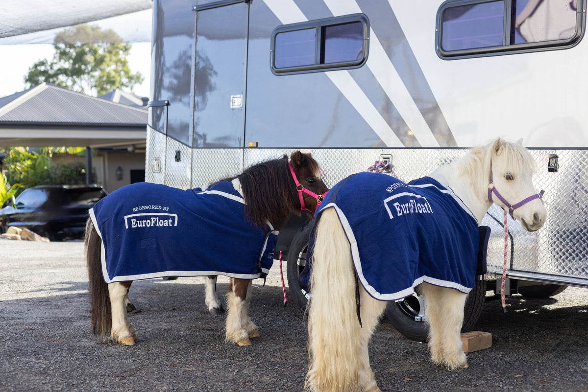 Two mini ponies in navy EuroFloat rugs beside a float