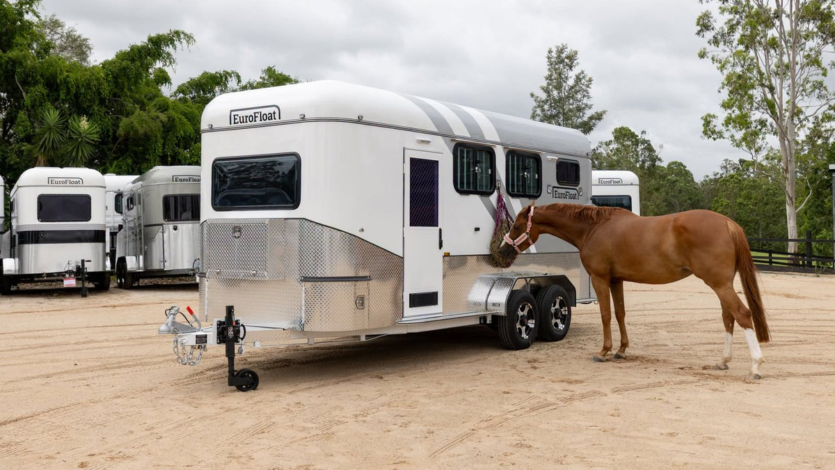 Horse standing beside a EuroFloat horse float