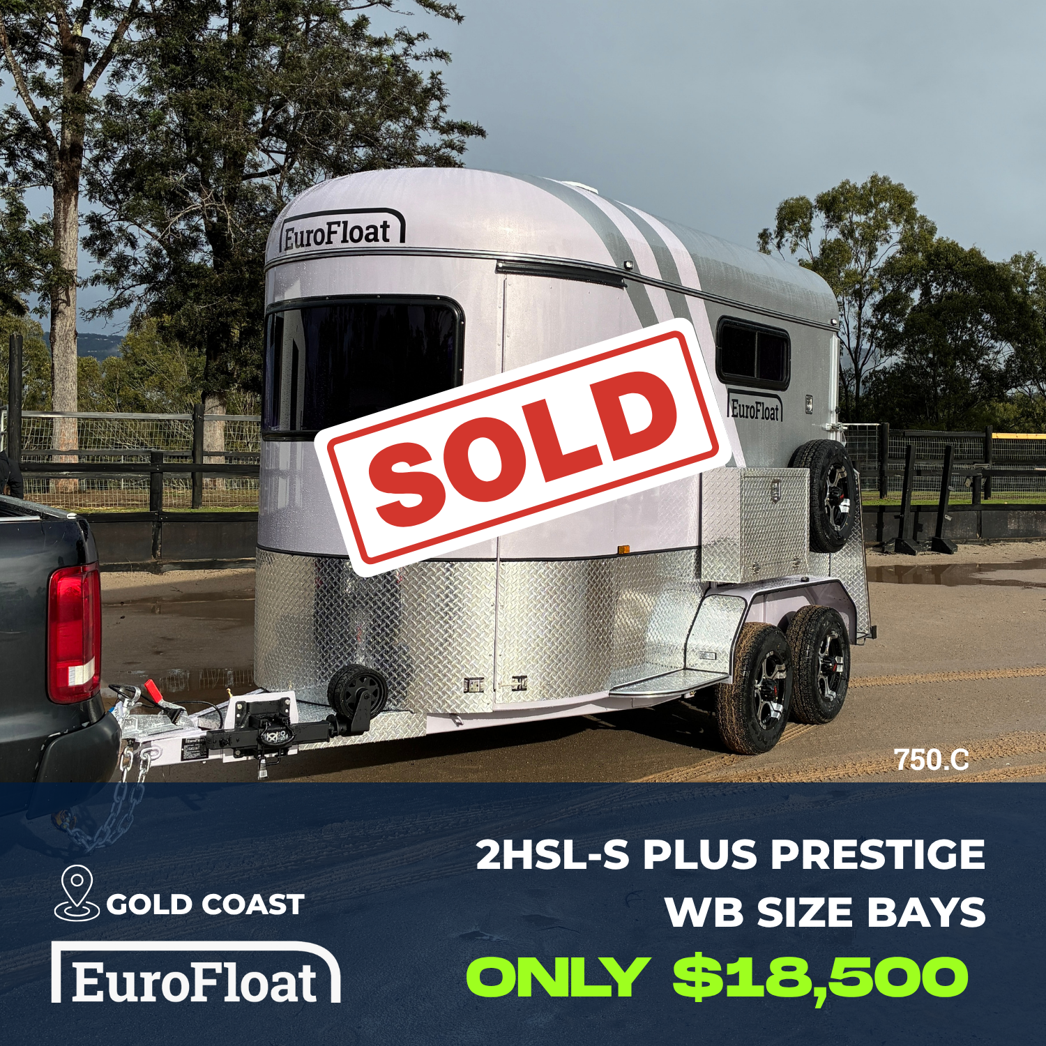 2 Horse Straight Load Float S Plus RN Classic