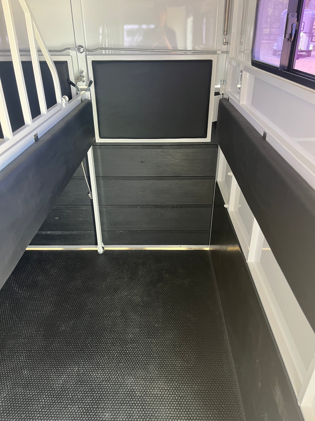 2 Horse Straight Load Float L400 RN Classic