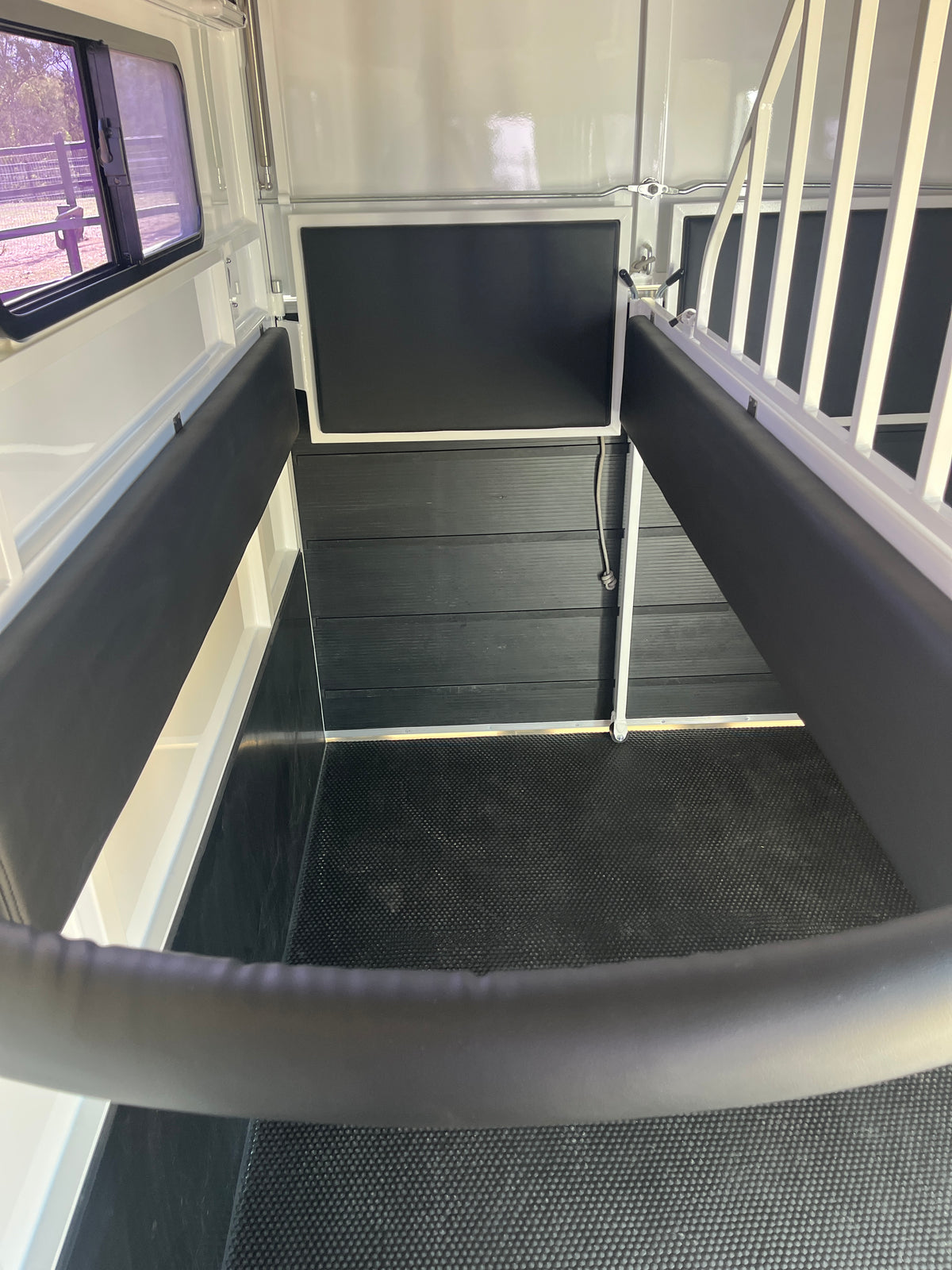 2 Horse Straight Load Float L400 RN Classic